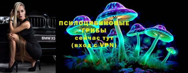 кристаллы Гусь-Хрустальный